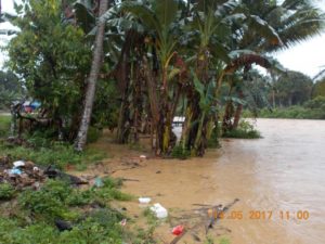 Banjir Menggenangi Tiga Desa di Konut, Petani Jagung Merugi