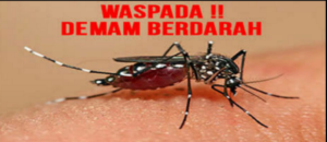 Waspada, Begini Gejala Awal Demam Berdarah Dengue