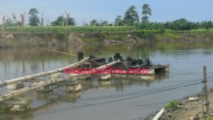 Poros Keadilan Minta Polda Sultra Bertindak Tegas Terhadap Penambang Pasir Illegal