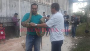 Wayan : Awalnya Takut, Sekarang Bisa Minum Kopi dengan Ular