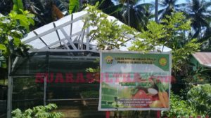 Wujudkan Program Konasara, Warga Panggulawu Kembangkan Kebun Gizi dan Herbal