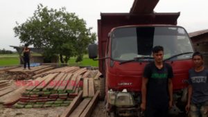 Tidak Dilengkapi Dokumen SKSHHK, Polres Konawe Amankan 441 Batang Kayu  Rimba Campuran