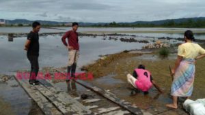 Akibat Banjir, Petani Tambak di 3 Desa Merugi Hingga Miliaran Rupiah
