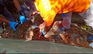 Tiga Selongsong Peluru Ditemukan di Selokan depan STIMIK