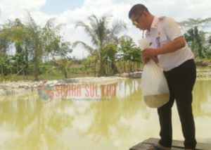 Realisasi Program 1000 Kolam, Wabup Salurkan 70 Kantong Bibit Ikan