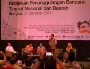 Pemerintah Konawe Utara Mendapat Apresiasi Dari BNPB RI, Ini Alasannya