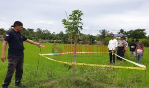 Petani di Konsel Tewas di Sawah, Diduga Tersengat Aliran Listrik