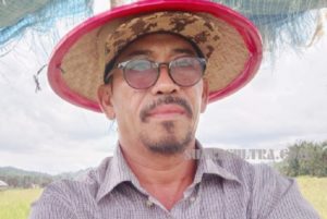 Cuaca Kurang Bersahabat, Petani di Konut Gagal Panen