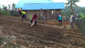 Tingkatkan Perekonomian, Desa Puulemo Ciptakan Kebun Covid-19