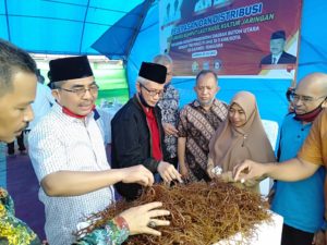 Bupati Butur Bersama Wagub Sultra Hadiri Pendistribusian Bibit Rumput Laut