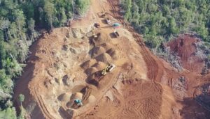 Saksi Ahli Sebut PT Naga Bara Perkasa Menambang di Kawasan Hutan Lindung Tanpa IPPKH