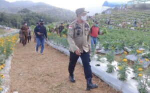 Sektor Pertanian Butuh Pemimpin Yang Mampu Mewujudkan Swasembada