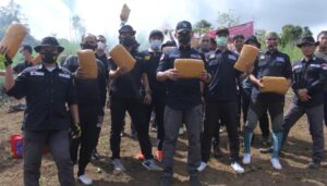 Bareskrim Polri Musnahkan 5 Hektare Ladang Ganja di Sumut