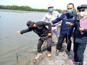 Petani Tambak Merugi, Tim Terpadu Turun Ambil Sampel di Lokasi Terdampak Debu Batu Bara