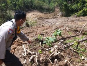 Diduga Serobot Lahan dan Rusak Tanaman Masyarakat, Penambang Batu di Konut Dipolisikan