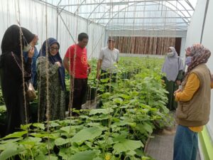 TP PKK Soppeng Lakukan Pendampingan dan Pembinaan Kelompok Tani Wanita Sutera