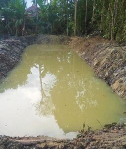 Upaya Peningkatan Kesejahteraan Masyarakat, Kades Waturai Ajak Warga Budidaya Ikan Air Tawar