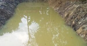 Upaya Peningkatan Kesejahteraan Masyarakat, Kades Waturai Ajak Warga Budidaya Ikan Air Tawar