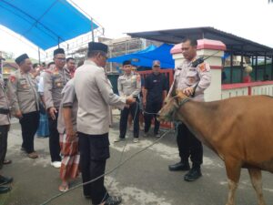 Berbagi Rezeki di Hari Raya, Polres Konawe Sembelih 14 Ekor Sapi Kurban