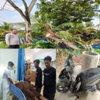 Tertimpa Pohon Tumbang, Seorang Pengendara Motor Dilarikan Ke RS Konawe