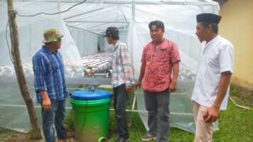 Manfaatkan Dana Desa, Kades Tani Indah Kembangkan Hidroponik