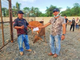 Sebagai Wujud Kebersamaan, PT VDNI dan OSS Salurkan 75 Ekor Sapi Kurban