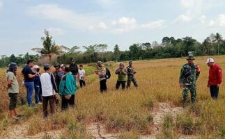 Sekda Kolaka Timur Pimpin Peninjauan Tanah Eks HGU PT SIL