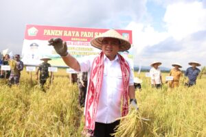 Panen Raya Padi Sawah, Pj Gubernur Sultra Dukung Peningkatan Kesejahteraan Petani