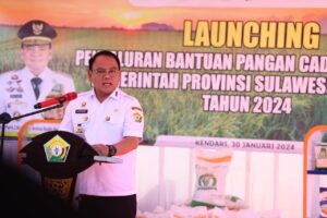 Gubernur Sultra Launching Penyaluran Bantuan Beras CPP 2024