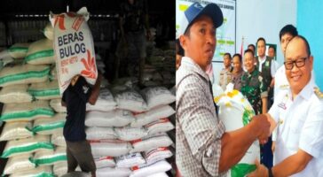 Beras Pemerintah Masuk 2000 Ton, Kadis Ketapang Konawe Pastikan Harga Kembali Stabil