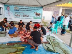 Momen Idul Adha, Kadin Sultra Salurkan Ratusan Kilogram Daging Kurban untuk Warga Kendari
