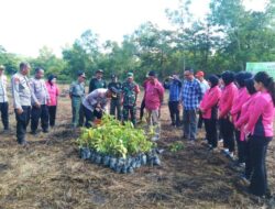 HUT Bhayangkara Ke 78, Polres Konawe Bersama Polsek Puriala Gelar Penanaman Pohon