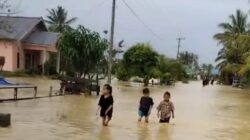 Sehari Diguyur Hujan, Sejumlah Wilayah di Konawe Terendam Banjir