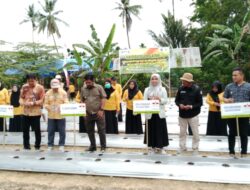 Kampung Organik: Gerakan Petani Sayur Organik Konawe Untuk Masyarakat Sejahtera