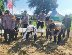 Polres Konawe Gelar Penanaman Benih Jagung untuk Mendukung Swasembada Pangan Nasional