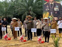 Kapolda Sultra Bersama Pejabat Daerah Sukses Tanam Jagung Serentak di Konawe