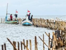 Kasus Pagar Laut Tangerang Mulai Terungkap, Pengusaha Taipan Mengonfirmasi