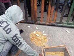 Kajati Sultra Dapat Tantangan dan Dukungan dari Mahasiswa untuk Selesaikan Kasus Korupsi Pertambangan