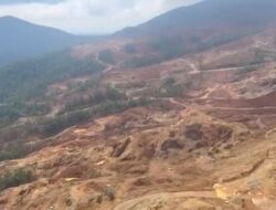 Ore Nikel Dikeruk, Reklamasi Terlantar: Untuk Siapa Dana Jamrek Itu?