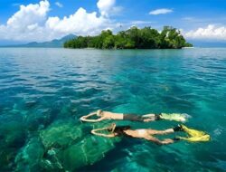 Luka di Jantung Wakatobi: Mahasiswa Suarakan Dugaan Perusakan Karang oleh Investor Asing
