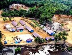Siasat Harita Group di Wawonii: PT BKM Muncul, Putusan Pengadilan Diabaikan, Lingkungan Kembali Terancam