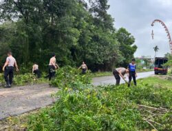 Sigap Atasi Dampak Alam, Sat Samapta Polres Konawe Gerak Cepat Bersihkan Pohon Tumbang