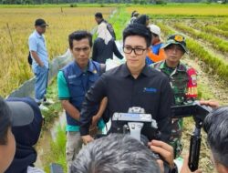 Dekatkan Diri ke Petani, Bulog Unaaha Serap Ribuan Ton Gabah dan Beras: Wujud Nyata Jaga Ketahanan Pangan