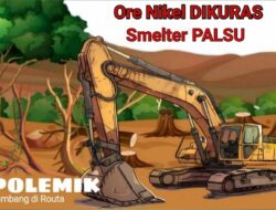 Tipu Daya Tambang Routa: Ore Nikel Dikuras, Pabrik Pengolahan Feronikel Tak Kunjung Dibangun