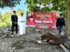 Qurban dan Kepedulian Sosial: PDI Perjuangan Konawe Hadirkan Berkah Idul Adha untuk Wong Cilik