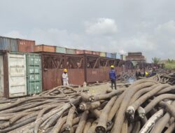 Diduga Jual Beli Limbah Kabel Ilegal, PT VDNI dan Bea Cukai Kendari Disorot Publik