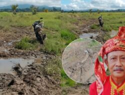 Pembangunan Jalan ke Kampung Adat Hukaea Lama Terganjal Izin KLHK, Kepala Adat Soroti Minimnya Kepedulian Warga