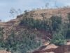 Diduga Tambang di Kawasan Hutan Tanpa PPKH, P3D Konut Desak APH Tindak PT Primastian Metal Pratama