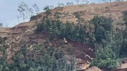 Diduga Tambang di Kawasan Hutan Tanpa PPKH, P3D Konut Desak APH Tindak PT Primastian Metal Pratama