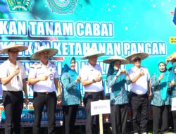 Sekda Konawe Buka Gerakan Tanam Cabai Serentak Virtual: Dorong Ketahanan Pangan dan Kendalikan Inflasi